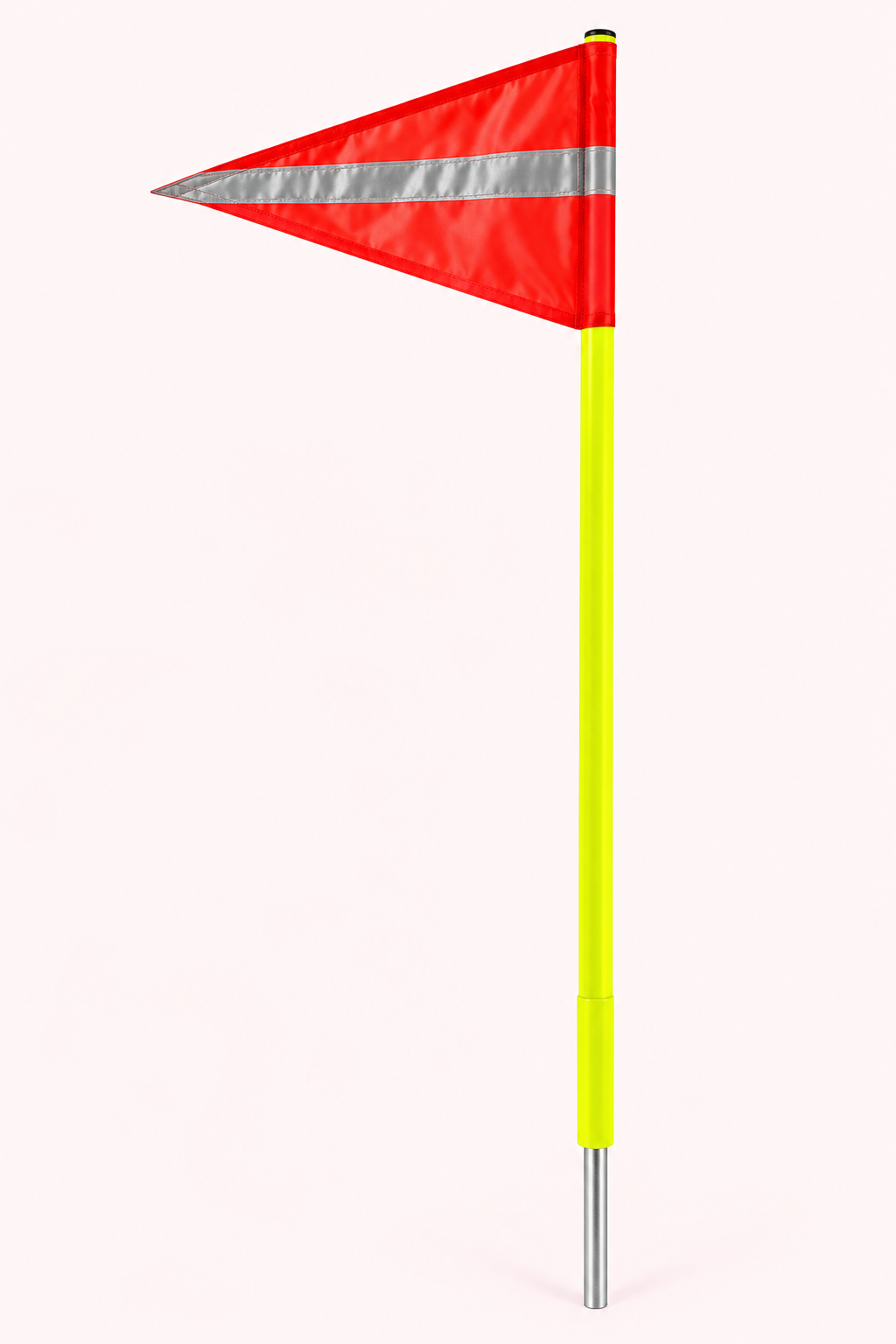 BUGGY WHIP1
