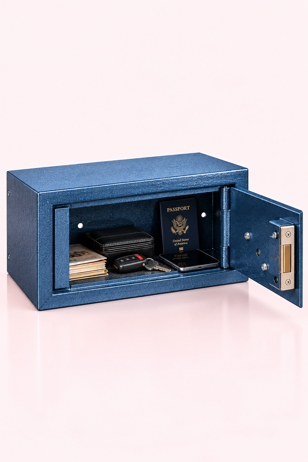 VEHICLE SAFE1